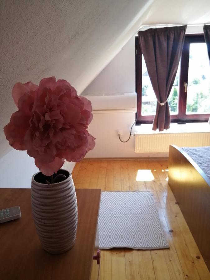 Lotus Apartman Odorheiu Secuiesc Exterior photo